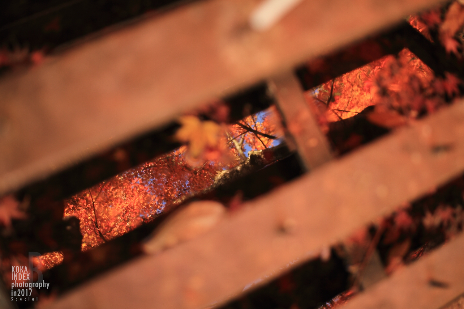 【Spectacular Views of Shiga】Taro-bo Shrine in Higashiomi Feels Like a Small Tibetan Temple(Potala Palace)