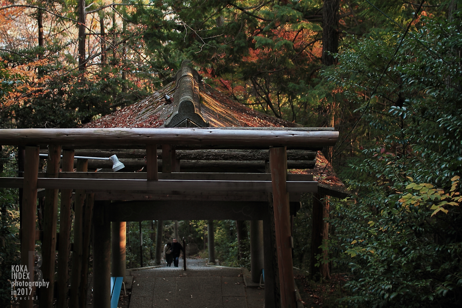 【Spectacular Views of Shiga】Taro-bo Shrine in Higashiomi Feels Like a Small Tibetan Temple(Potala Palace)