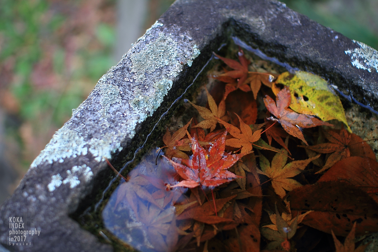 【Spectacular Views of Shiga】Taro-bo Shrine in Higashiomi Feels Like a Small Tibetan Temple(Potala Palace)