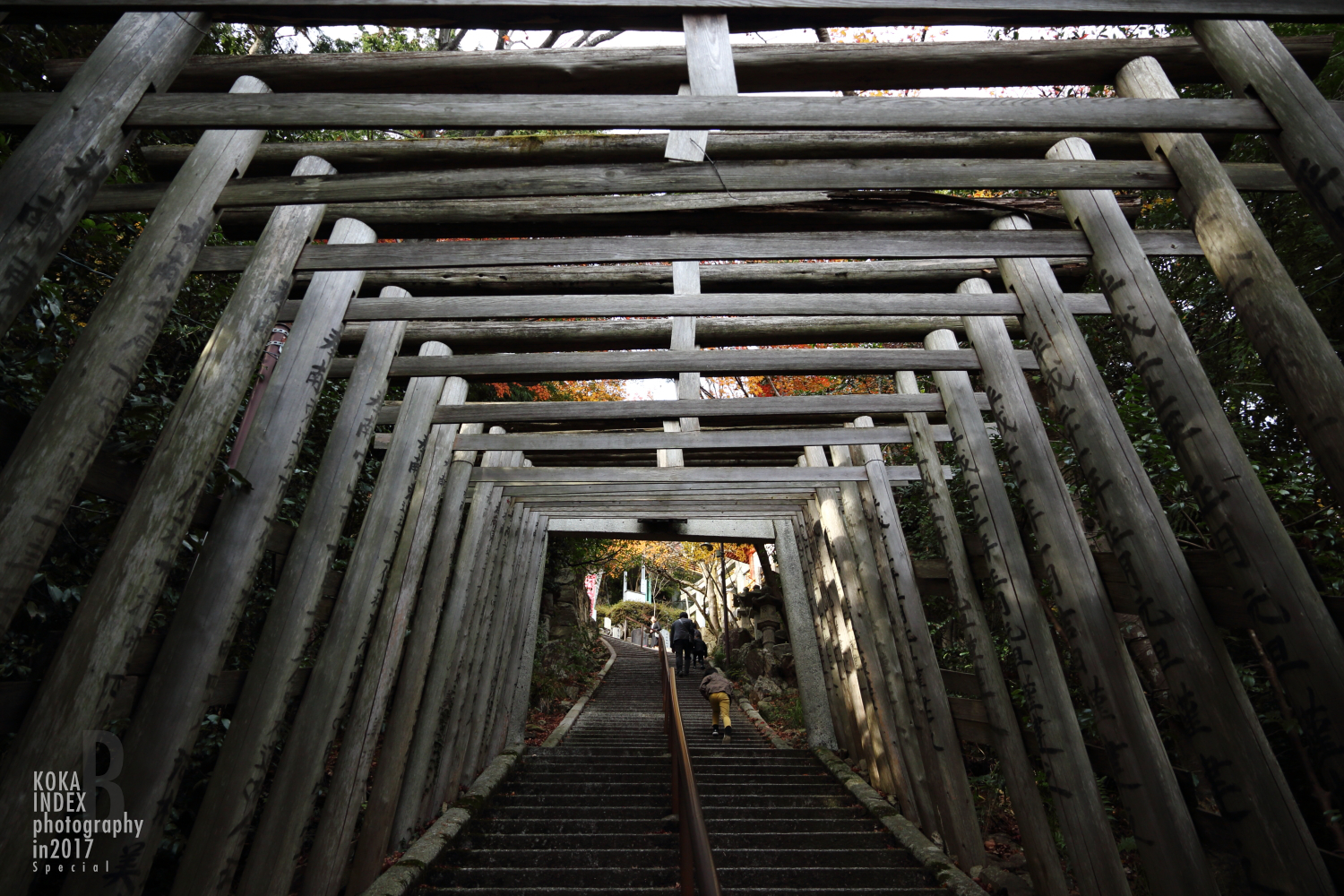 【Spectacular Views of Shiga】Taro-bo Shrine in Higashiomi Feels Like a Small Tibetan Temple(Potala Palace)