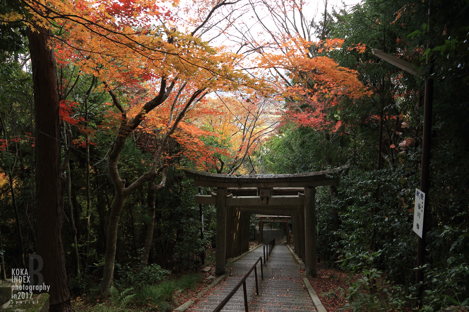 【Spectacular Views of Shiga】Taro-bo Shrine in Higashiomi Feels Like a Small Tibetan Temple(Potala Palace)