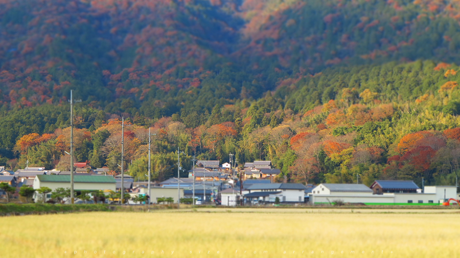 【Beyond Kyoto】 Kyorinbo a Quiet Autumn Expression of Wabi-Sabi in shiga_pref.