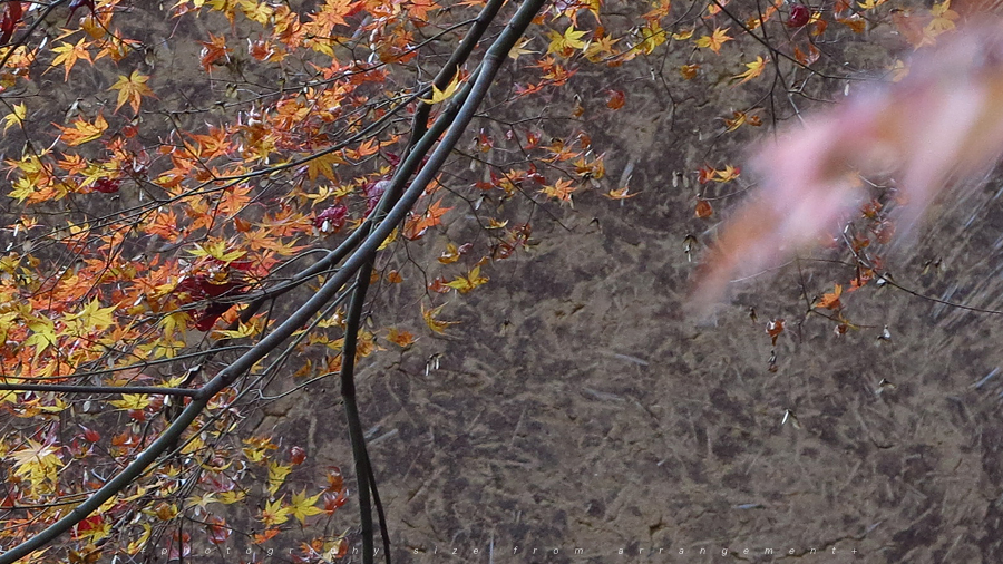 【Beyond Kyoto】 Kyorinbo a Quiet Autumn Expression of Wabi-Sabi in shiga_pref.
