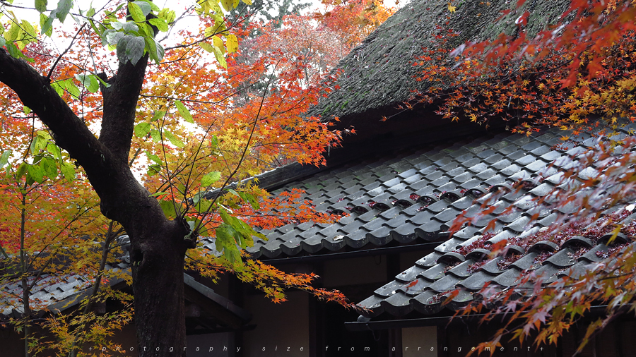 【Beyond Kyoto】 Kyorinbo a Quiet Autumn Expression of Wabi-Sabi in shiga_pref.