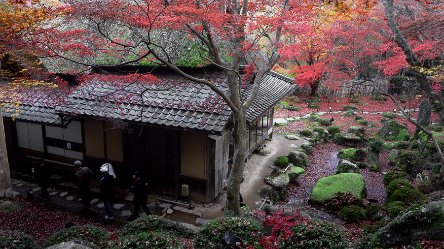 【Beyond Kyoto】 Kyorinbo a Quiet Autumn Expression of Wabi-Sabi in shiga_pref.
