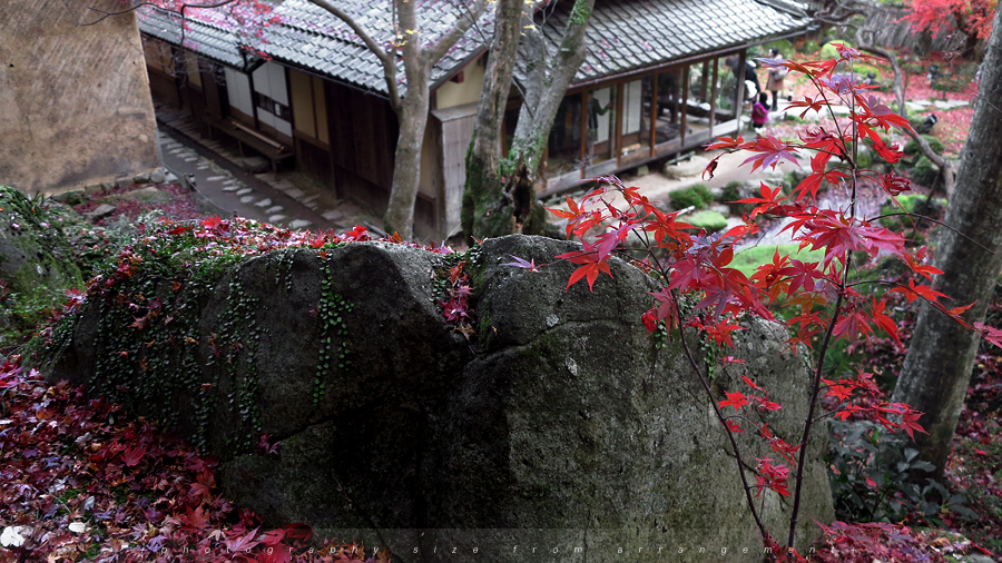 【Beyond Kyoto】 Kyorinbo a Quiet Autumn Expression of Wabi-Sabi in shiga_pref.