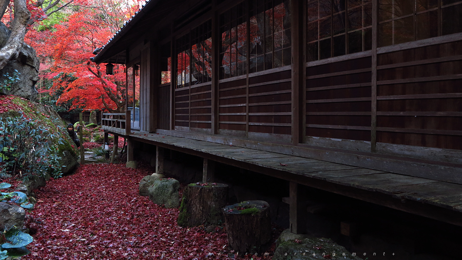 【Beyond Kyoto】 Kyorinbo a Quiet Autumn Expression of Wabi-Sabi in shiga_pref.