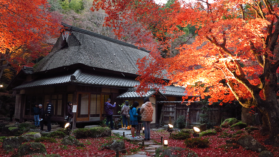 【Beyond Kyoto】 Kyorinbo a Quiet Autumn Expression of Wabi-Sabi in shiga_pref.