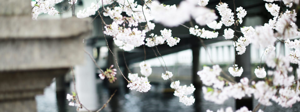 無印良品/MUJI MANIA 水口店watch!