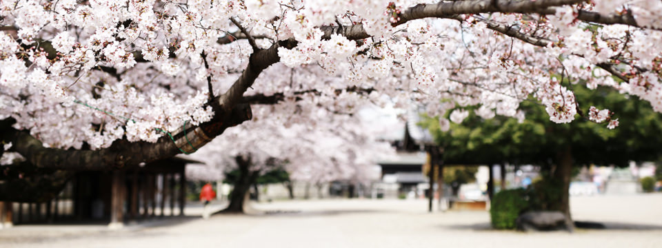 無印良品/MUJI MANIA 水口店watch!