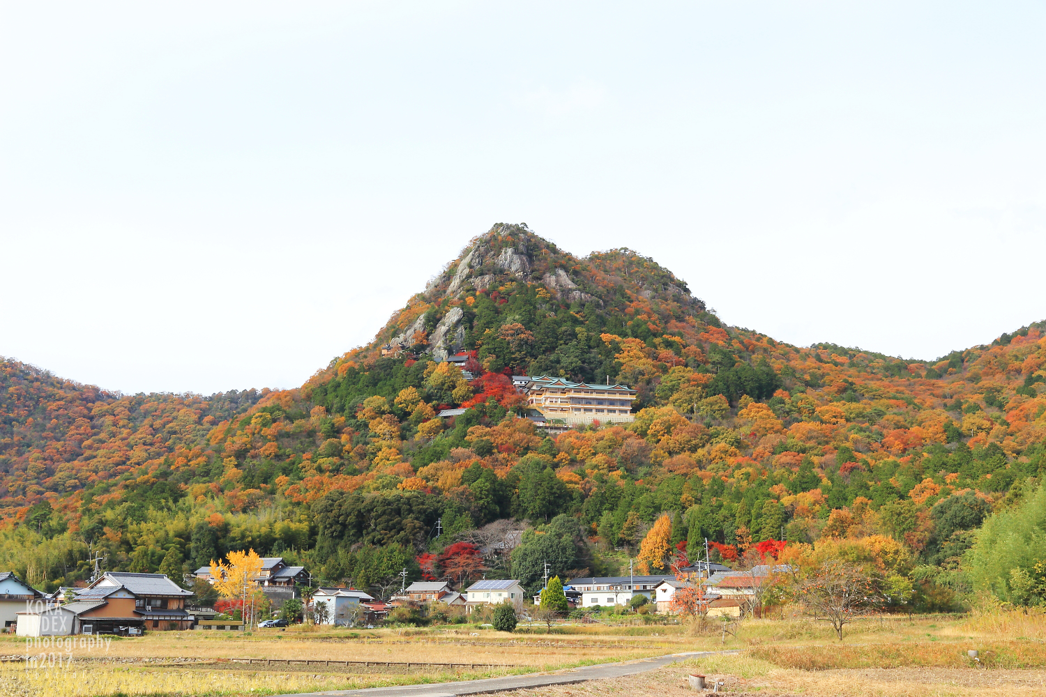 秋の滋賀県・太郎坊宮はチベット・ポタラ宮みたいで絶景（紅葉写真）